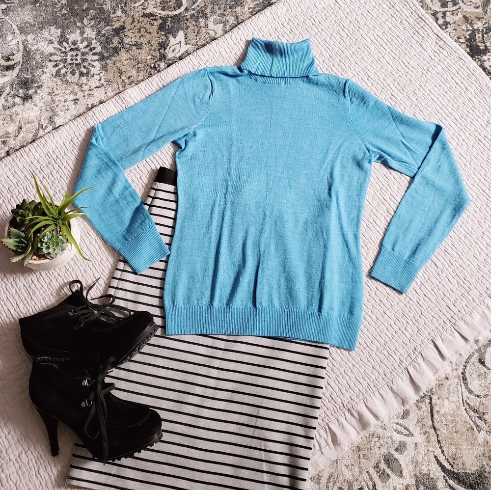 Extra Fine 100% Merino Wool Sweater - Ellen Tracy